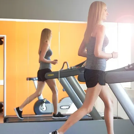 Ibis Centrum Poznaň