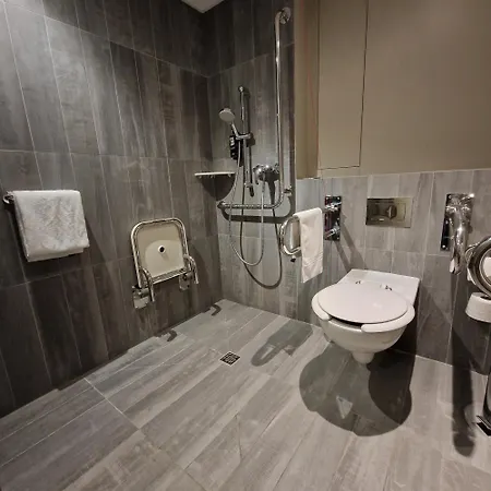 Ibis Centrum