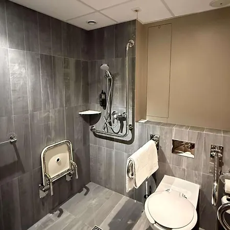 Ibis Centrum 호텔 3*